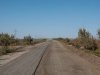 Road to Muynak